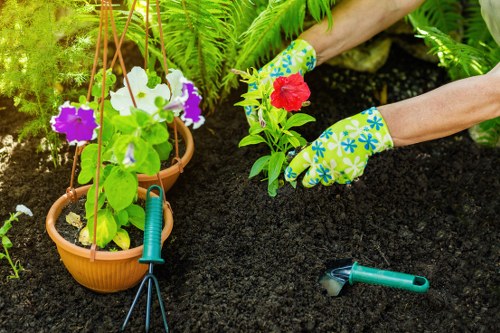 Beautiful garden with professional landscaping in Vauxhall