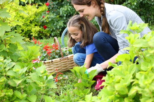 Lush Vauxhall garden with diverse plant selection
