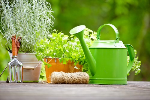 Eco-friendly lawn mowing practices in Vauxhall