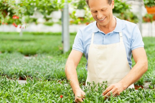 Choosing the right lawn mowing service in Vauxhall