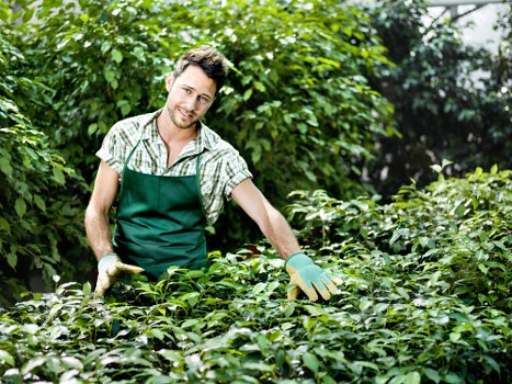 Tools used for hedge trimming by experts in Vauxhall