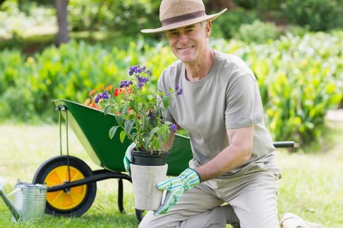Sustainable landscaping solutions