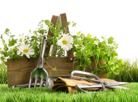 Eco-friendly lawn care practices