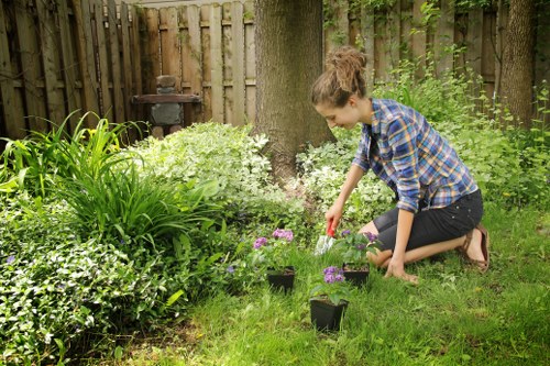 Vauxhall landscaper mowing a garden